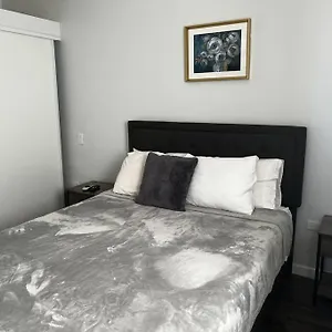 Spacious 1 Bedroom Apartment, With Pull Out Couch Koolbaai